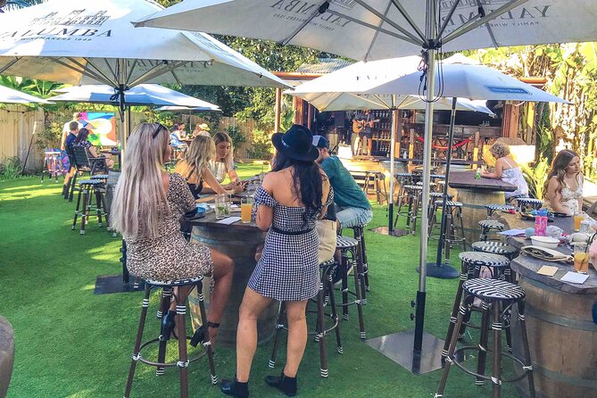 Noosa Hinterland Drinks Private Tour with Gin, Beer, Mead & Wine Tastings - Who this tour suits best