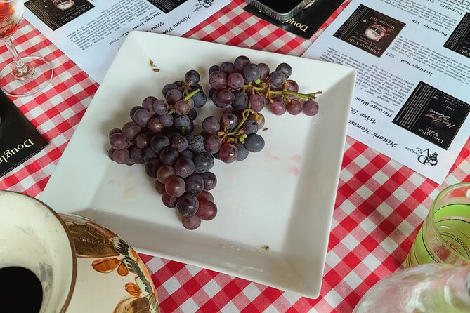 Port Macquarie Wine and Beer, Hastings Tasting Trail Tour - Your Start Point: Port Macquarie’s Coach Stop at 10:00 AM