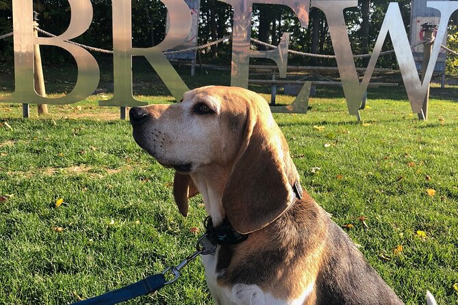 Private:Brewery, Winery, and Cider & Spirit Tastings Tour in SW Ontario - Why This SW Ontario Tasting Tour Feels Like a Local Day Out