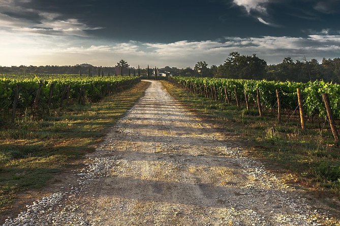 Private Customizable Niagara Wine, Beer, and Spirits Day Tour - Key Things I’d Plan Around