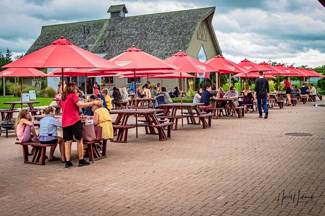 Private Customizable Niagara Wine, Beer, and Spirits Day Tour - Wine, Beer, and Spirits Stops: How the Day Actually Feels