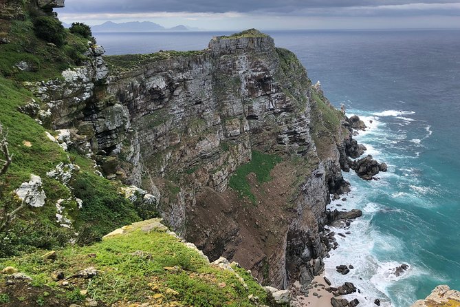 Private Day Tour to Cape Point , Penguins, Wine or Beer Tasting - How This Private Route Makes the Cape Peninsula Feel Manageable
