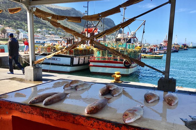 Private Day Tour to Cape Point , Penguins, Wine or Beer Tasting - Cape of Good Hope: Tea With a View and Real Wildlife Context