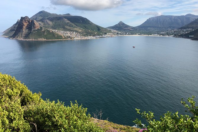 Private Day Tour to Cape Point , Penguins, Wine or Beer Tasting - Penguin Time at Boulders Beach: When to Go and What to Expect