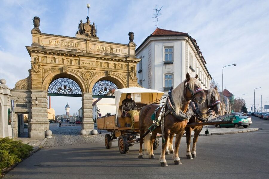 Private Pilsen & Pilsner Urquell Brewery Tour Prague - Pilsen on Foot: Town Hall, St. Bartholomew Cathedral, and Photo Stops