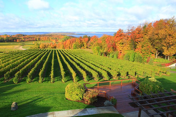 Private Traverse City Winery or Brewery Tour - The Driver Makes or Breaks the Day