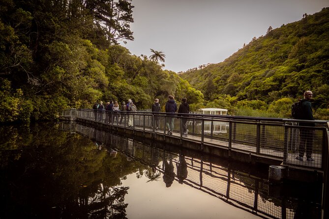Private Wellington Craft Beer Full Day Tour - Panhead Custom Ales: Lunch and Beer Pairing Rhythm