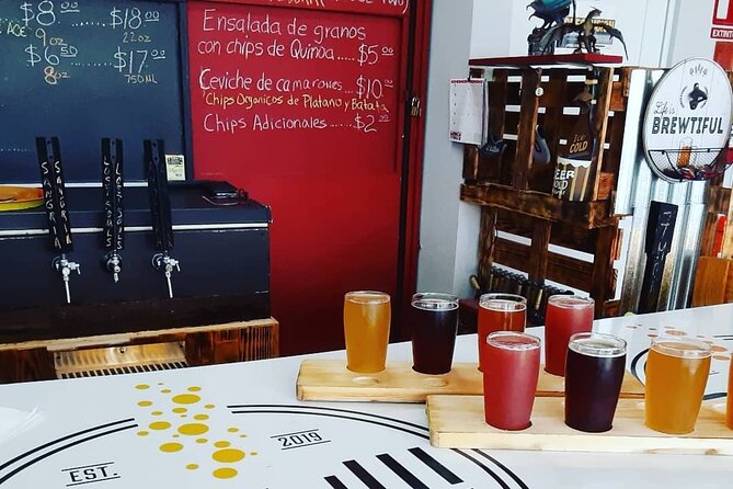 Puerto Rico's First and Only Craft Beer Brewery Tour! - Inside the breweries: how tasting turns into real understanding