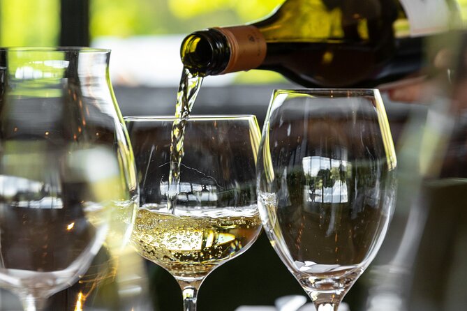 Queenstown Gin, Wine & Beer Tour | Adults Only - Timing That Works: 3:00 pm Start and a Late-Afternoon Pace