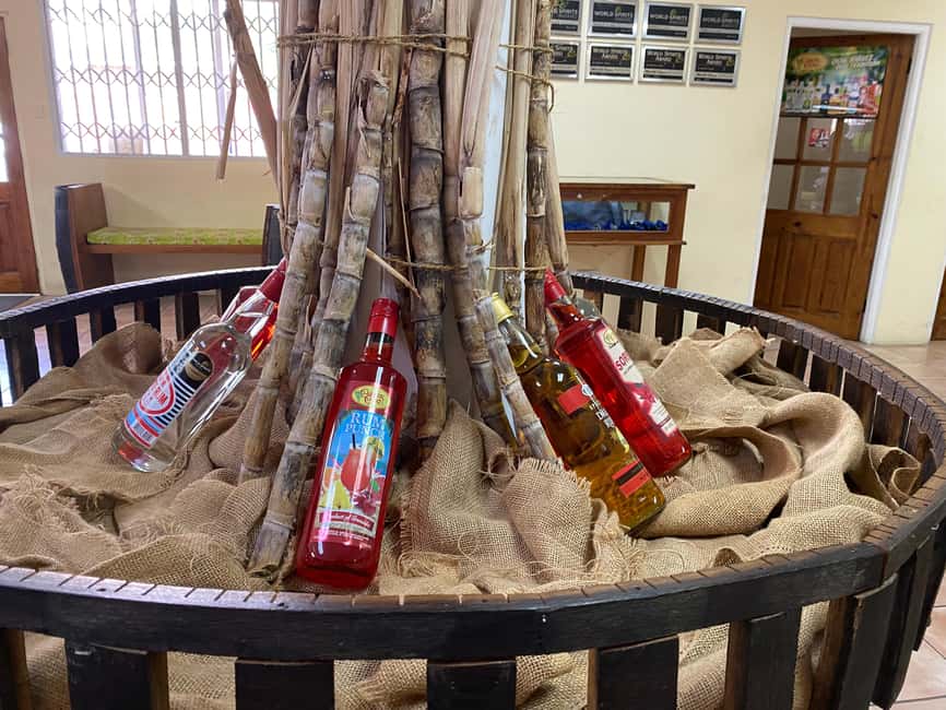 Rum Beer And Beach Tour - West Indies Beer Company in Grenada: tastings and what you’ll pay for