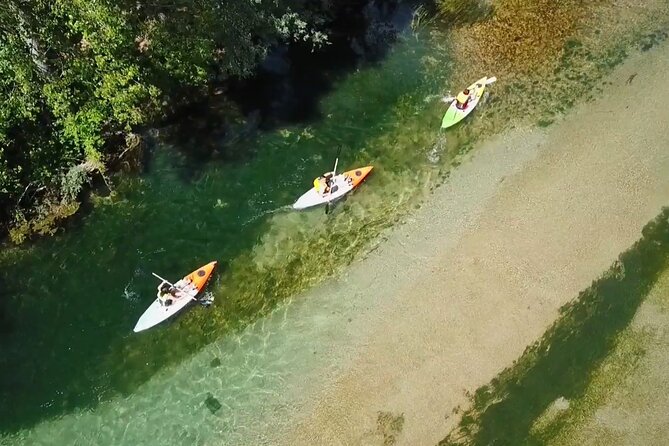 Safari kayak adventure w BBQ & Beer - Key things that make this kayaking trip special