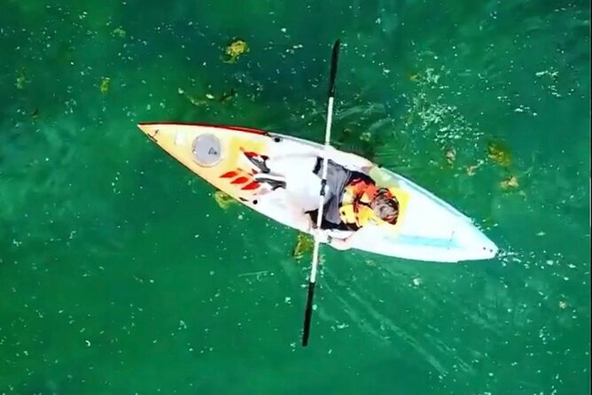 Safari kayak adventure w BBQ & Beer - The chilly rock moment: what to pack so this stays fun