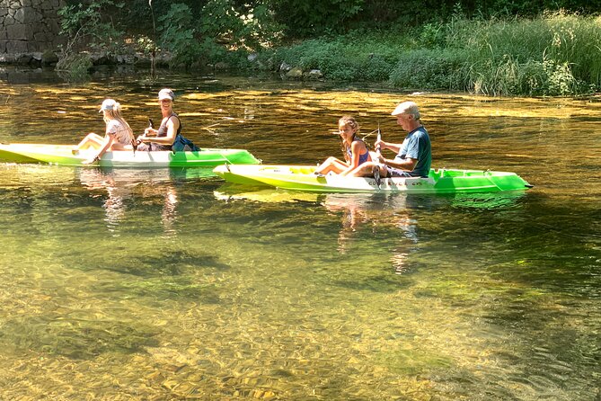 Safari kayak adventure w BBQ & Beer - Treehouse camp BBQ: a full lunch that actually feels like a meal
