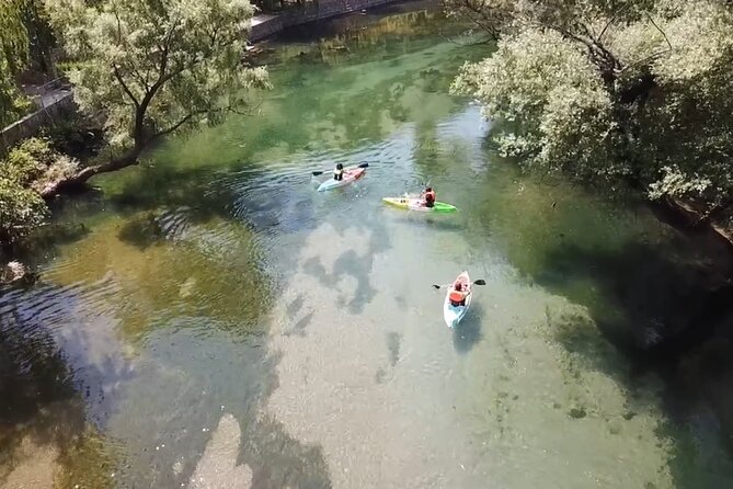 Safari kayak adventure w BBQ & Beer - Your host, Alem: local stories that make the day feel personal