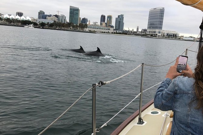 San Diego Bay Sail Aboard a Vintage Yacht Beer and Wine Included - Coronado Bridge and the Bay Wide Views