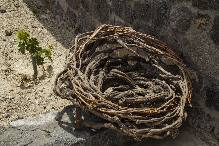 Santorini: Three Wineries and One Brewery Tour with Tastings - What you really taste: 12 wines, 3 beers, and pairing bites