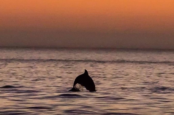Scenic Sunset Cruise from Historic Johns Pass, Free Beer and Wine - Who this cruise is best for (and who should pick a different outing)