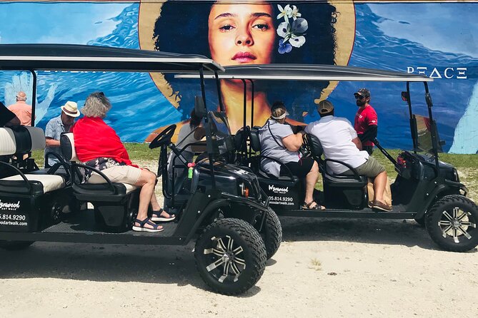 Small-Group Brewery Golf Cart Tour of Wynwood with a Local Guide - Beer stops that feel intentional: two signature pours, two craft breweries