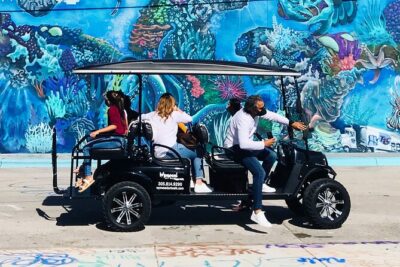 Small-Group Brewery Golf Cart Tour of Wynwood with a Local Guide - Getting the art context: why the guide makes (or breaks) this tour