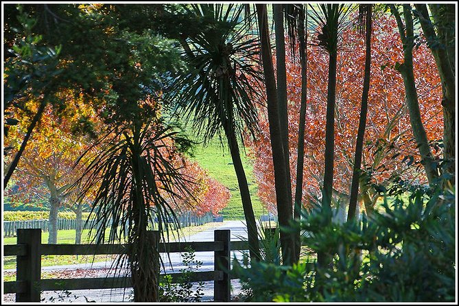 Small group - Napier Premium Wineries+ Beer tour -5.0 - 5.5 hours - Possible wine + brewery options, without the stress
