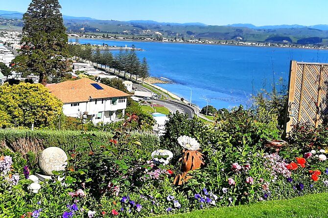 Small group - Napier Premium Winery , Beer & Cider + 5.5h to 6h. - Should you book this Napier Premium Winery, Beer & Cider Tour?