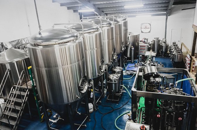 St. Maarten Brewery & Beer Tours - Taproom Tastings: The Part You’ll Actually Talk About Later