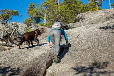 Stawamus Chief Hike & Local Brewery Tasting - Vancouver pickup + a private vehicle: less stress, more trail time