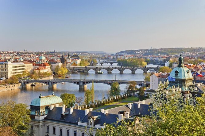 Sunny Beer garden tour - Key Highlights You’ll Actually Feel