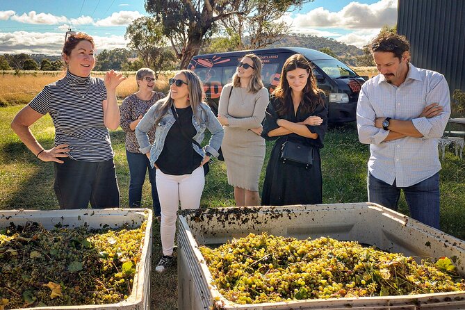 Sydney Grains and Grapes Hunter Valley Wine and Beer with Lunch - Key highlights worth planning around