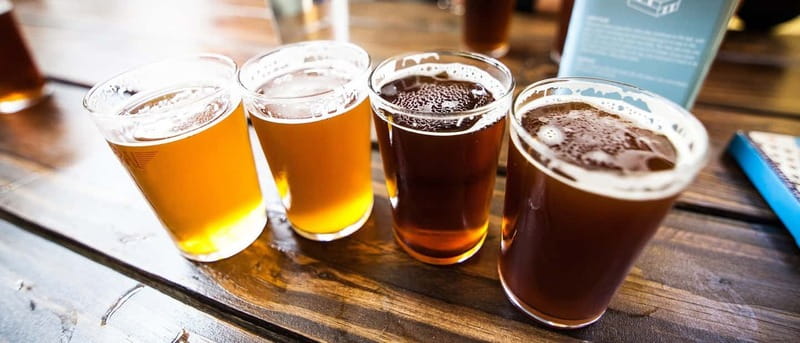 Tallinn: Estonian Craft Beer Tasting - The Cozy Tasting Room: How 5 Beers and Snacks Fit Into 90 Minutes