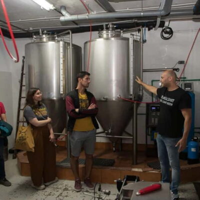 Tenerife : Brewery guided tour with tasting at TACOA Brewery - The 50–60 minute brewery tour: what’s likely happening during the guided walkthrough