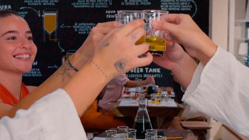 Tulum Beer School and create your own beer - Key things to know before you go