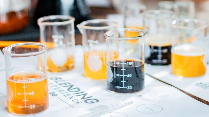 Tulum Beer School and create your own beer - Final call: should you book Tulum Beer School and create your own beer?