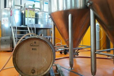 Tuscan Brewery Guided Tour with beer and food tasting - Raw materials and aromas: the tasting starts before the first sip