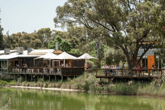 Ultimate Maggie Beer's Farmshop Experience - The Cook and the Chef studio kitchen: interactive cooking with a purpose