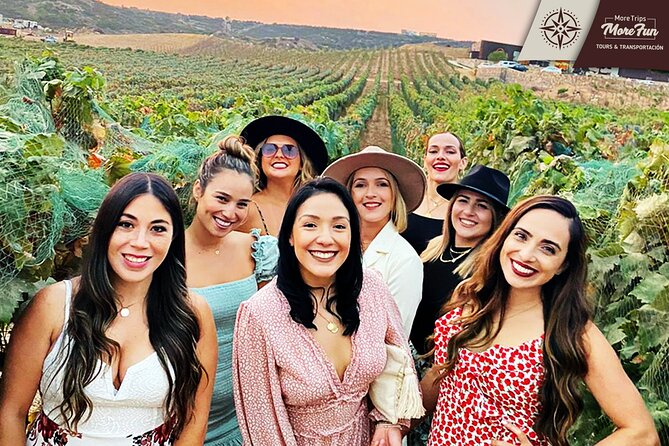 Valle de Guadalupe winery and brewery tours - Wine, brewery stops, and food: what’s included and what you plan