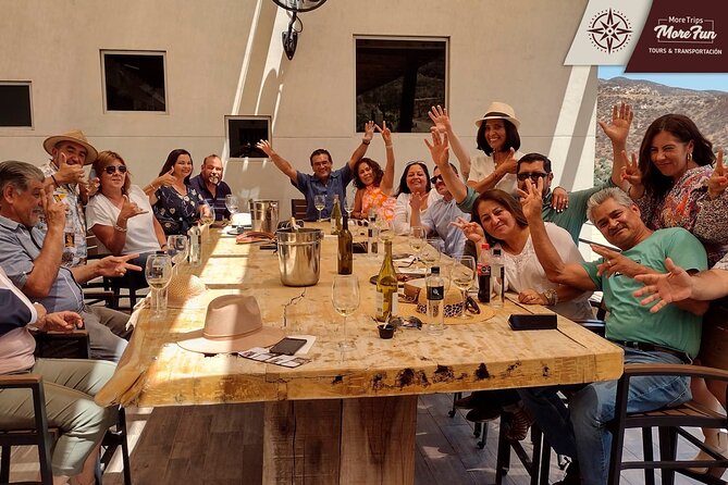 Valle de Guadalupe winery and brewery tours - Timing, weather, and how to avoid a rushed tasting day