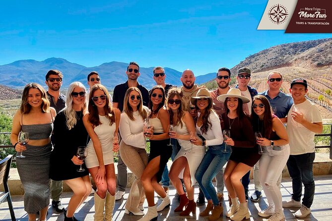 Valle de Guadalupe winery and brewery tours - Who should book this Valle de Guadalupe tour?