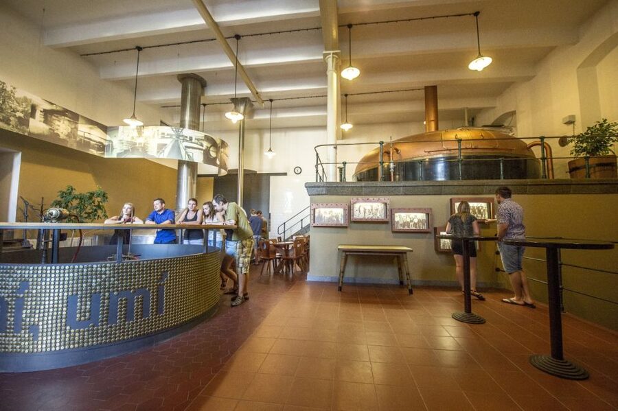 Velke Popovice: Kozel Brewery Tour with Beer Tasting - Price and value: why $11 feels fair for what you get
