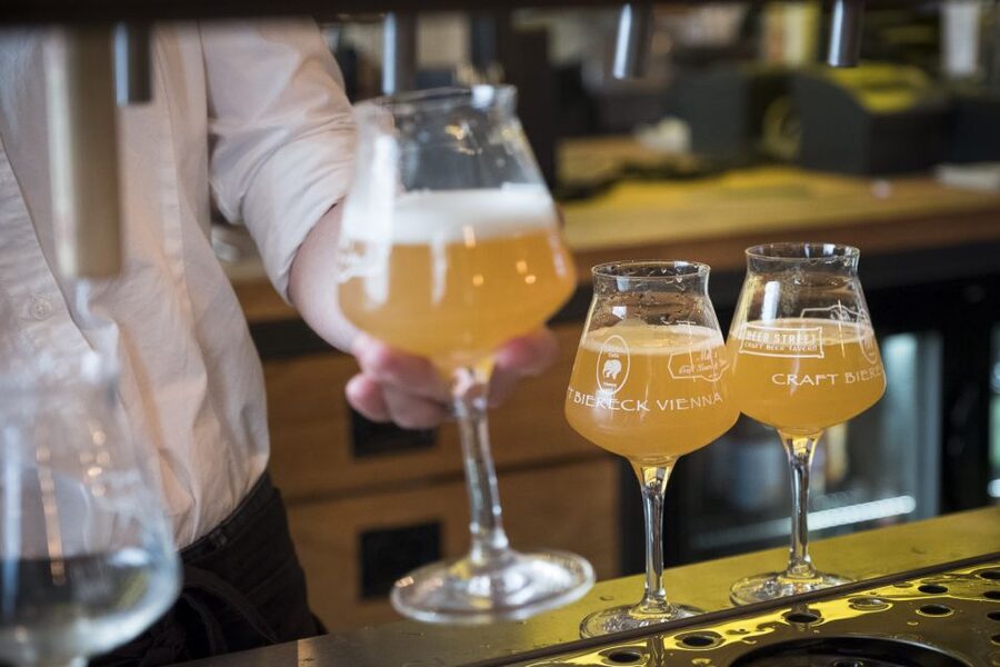 Vienna: Craft Beer Tasting Experience with Local Snacks - Key things that make this Vienna craft beer tasting worth it