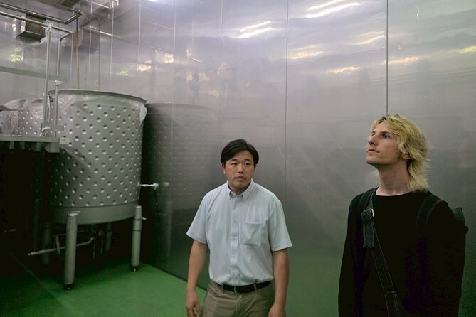 Visit behind the Scenes: Hiroshima Saijo Sake Brewery Tour - Sake tasting and comparisons: how to get the most out of the lineup