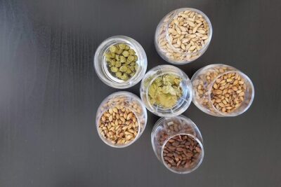 Visit to a Family Brewery in Loulé with Tasting - From Ingredients to Flavor: What You’re Really Learning