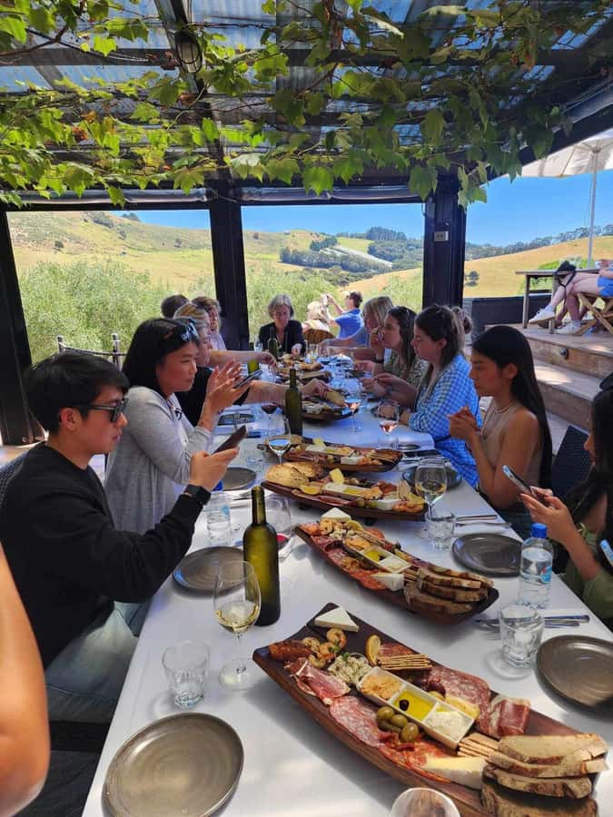 Waiheke: Scenic Taste and Graze Tour with Wine, Whisky, Beer - The best kind of “tour day”: enough pacing, not enough rushing