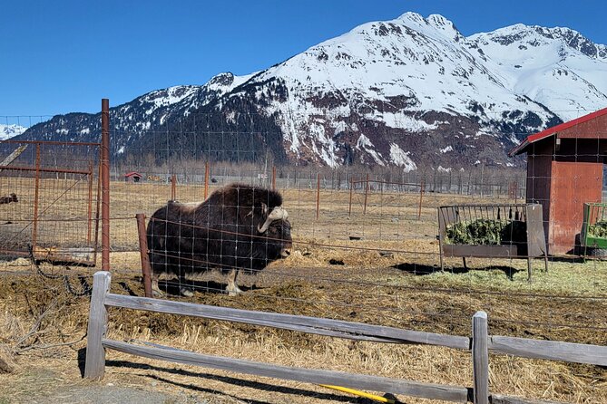 Wildlife Center with Lunch and Local Beer Sampling - Your guide and the small-group advantage (why max 14 matters)