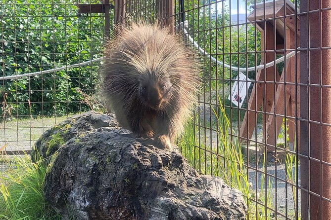 Wildlife Center with Lunch and Local Beer Sampling - What you’re really paying for: value behind the $195 price