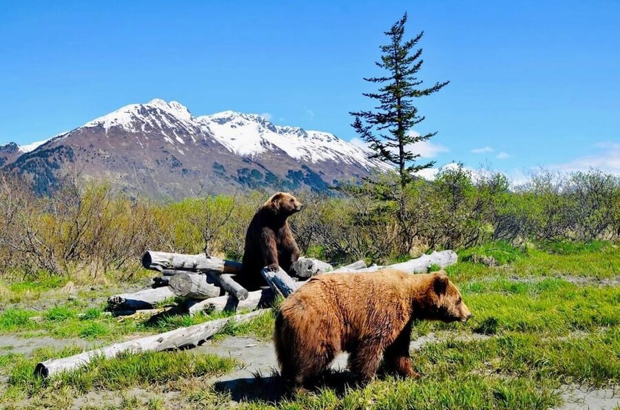 Wildlife Center with Lunch & Local Beer Sampling - Should You Book This Wildlife Center + Lunch + Local Beer Tour?
