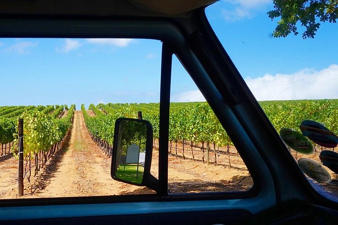 Wine Beer and Biltong Safari - Stellenbosch - Two micro craft brewery tours with tastings: what you’re really paying for