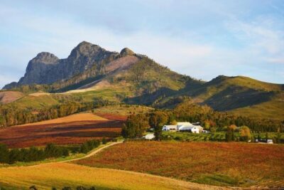 Wine Beer and Biltong Safari - Stellenbosch - No car stress: how the included transfers actually save your day