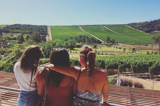 Wine Beer and Biltong Safari - Stellenbosch - The safari-style break: zebra and springbok while you sip and snack