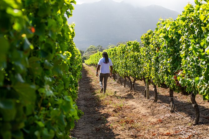 Wine Beer and Biltong Safari - Stellenbosch - Group size, timing, and how the pace will feel (good and bad)
